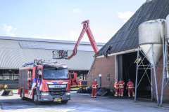 brand-godlinze-9