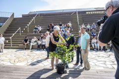 Japanse-boom-campus-Eemsdelta_5082