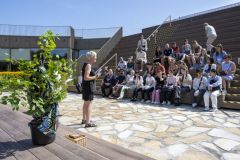 Japanse-boom-campus-Eemsdelta_5112