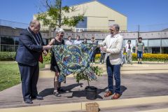 Japanse-boom-campus-Eemsdelta_5288