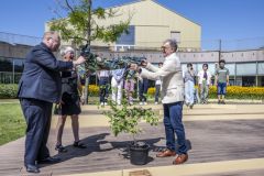 Japanse-boom-campus-Eemsdelta_5302
