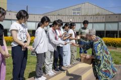 Japanse-boom-campus-Eemsdelta_5398
