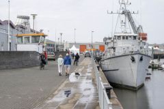 Muurschildering-haven_5914