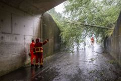 Stormschade_2999