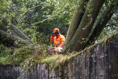 Stormschade_3038