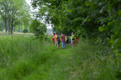 Koe-en-paard-in-de-sloot-Delfzijl_8274