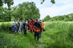 Koe-en-paard-in-de-sloot-Delfzijl_8295