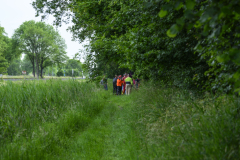 Koe-en-paard-in-de-sloot-Delfzijl_8348