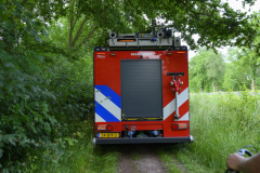 Koe-en-paard-in-de-sloot-Delfzijl_8550