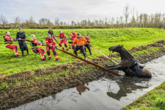 Paard-in-de-sloot-Hogewerflaan-Appingedam_0104