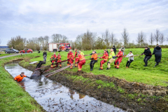 Paard-in-de-sloot-Hogewerflaan-Appingedam_0785