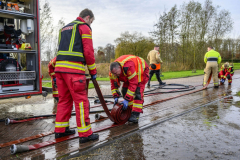 Paard-in-de-sloot-Hogewerflaan-Appingedam_1061