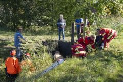 Paard-in-de-sloot-Garrelsweer-Rijksweg_6481