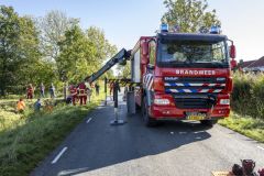 Paard-in-de-sloot-Garrelsweer-Rijksweg_6501