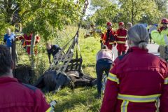 Paard-in-de-sloot-Garrelsweer-Rijksweg_6520