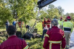 Paard-in-de-sloot-Garrelsweer-Rijksweg_6521