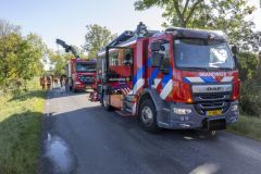 Paard-in-de-sloot-Garrelsweer-Rijksweg_6596