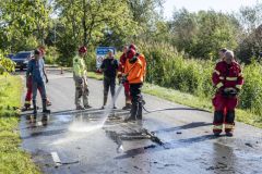 Paard-in-de-sloot-Garrelsweer-Rijksweg_6718