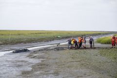 Paard-te-water-haven-Noordpolderzijl_7398