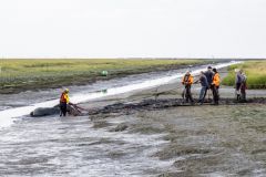 Paard-te-water-haven-Noordpolderzijl_7433