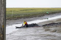 Paard-te-water-haven-Noordpolderzijl_7481