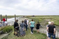 Paard-te-water-haven-Noordpolderzijl_7697
