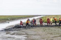 Paard-te-water-haven-Noordpolderzijl_7838
