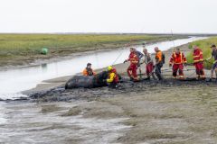 Paard-te-water-haven-Noordpolderzijl_7883