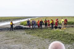 Paard-te-water-haven-Noordpolderzijl_7952