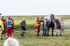 Paard-te-water-haven-Noordpolderzijl_8275