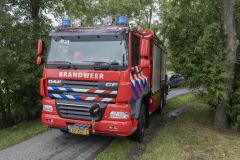 Paard-in-de-sloot-biessum1