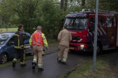 Paard-in-de-sloot-biessum2