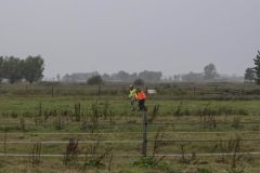 Paard-in-de-sloot-biessum3
