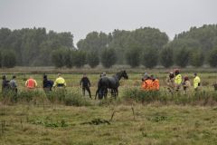 Paard-in-de-sloot-biessum6