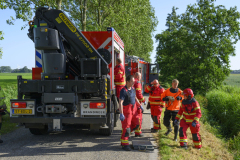 Paard-in-de-sloot-Uiteinderweg-Holwierde_4958