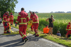 Paard-in-de-sloot-Uiteinderweg-Holwierde_4992