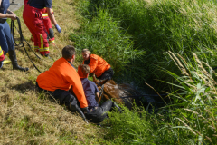 Paard-in-de-sloot-Uiteinderweg-Holwierde_5017