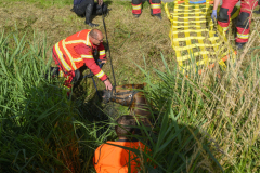 Paard-in-de-sloot-Uiteinderweg-Holwierde_5151