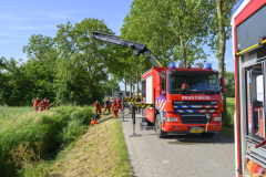 Paard-in-de-sloot-Uiteinderweg-Holwierde_5293