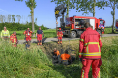 Paard-in-de-sloot-Uiteinderweg-Holwierde_5338