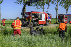 Paard-in-de-sloot-Uiteinderweg-Holwierde_5423