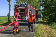Paard-in-de-sloot-Uiteinderweg-Holwierde_5583