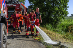 Paard-in-de-sloot-Uiteinderweg-Holwierde_5780