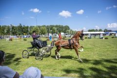 Paardendag-Uithuizen_6258