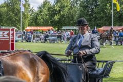 Paardendag-Uithuizen_6282
