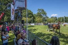 Paardendag-Uithuizen_6307