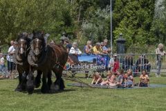Paardendag-Uithuizen_6337