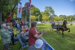 Paardendag-Uithuizen_6400