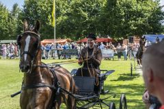 Paardendag-Uithuizen_6424