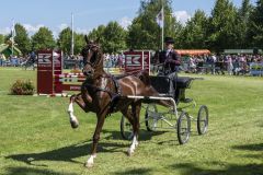 Paardendag-Uithuizen_6435